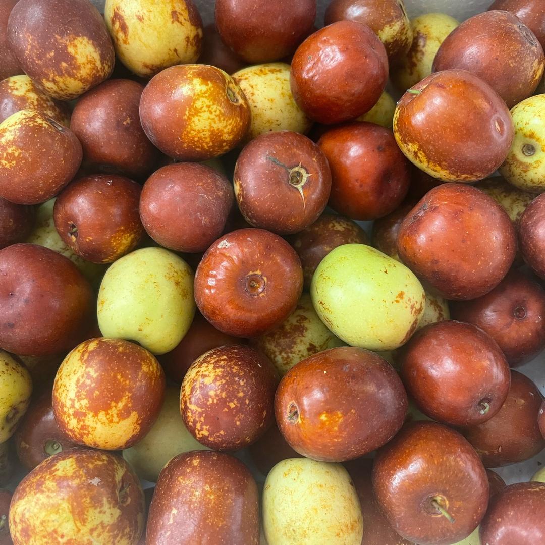 一鸣惊人靖姐姐