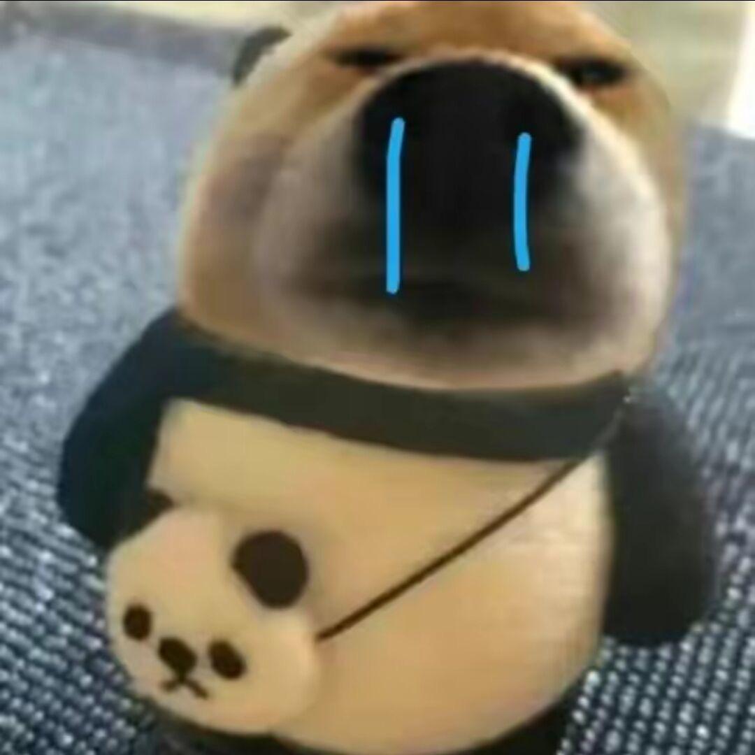海绵的宝宝