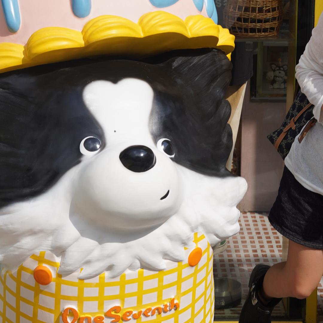 地精穿越到图书馆