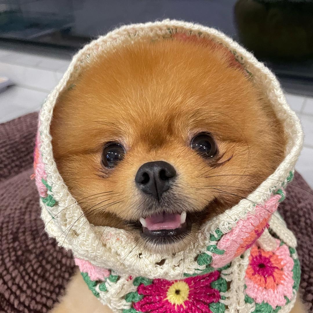 支仓麻也
