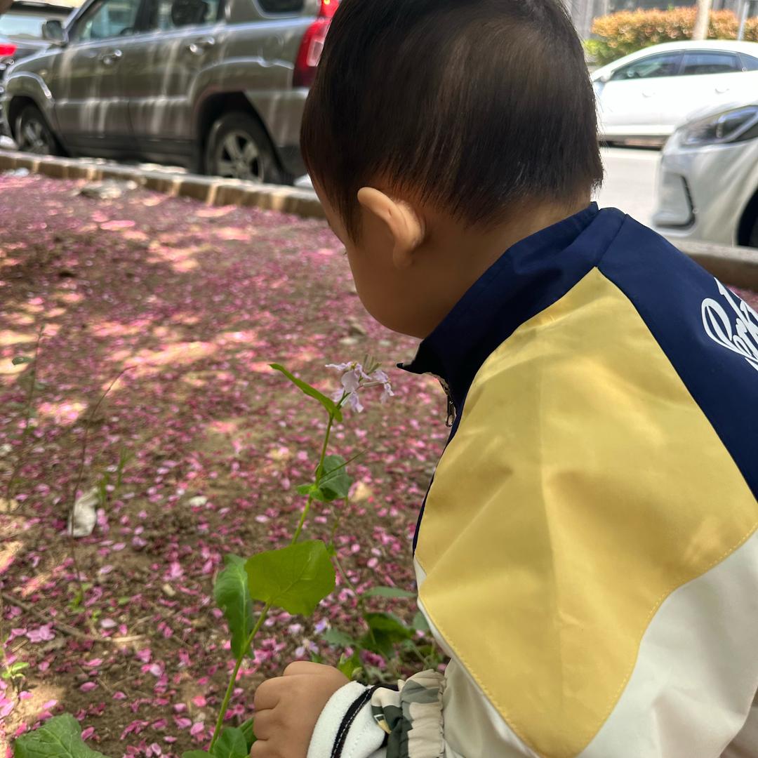 电影小能手L
