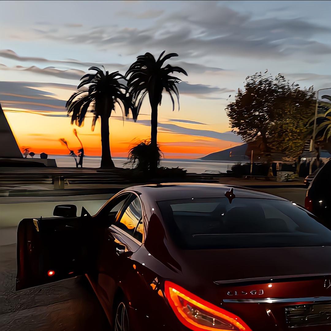 苍凌汽车-小大王