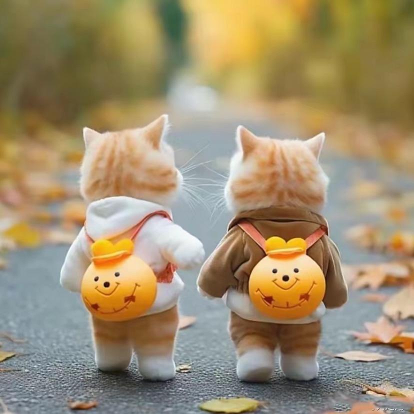 小熊