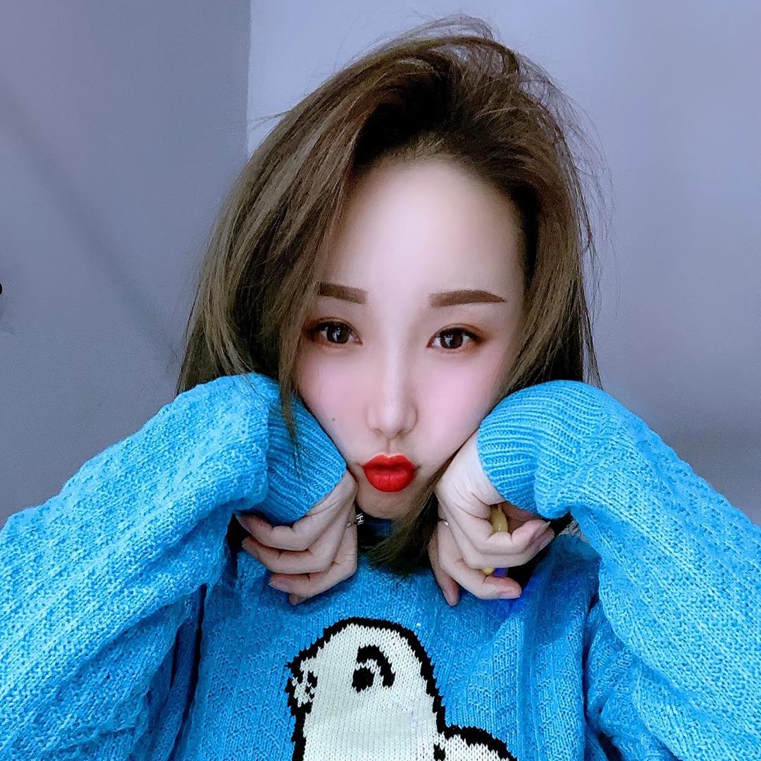 吉祥的燕子