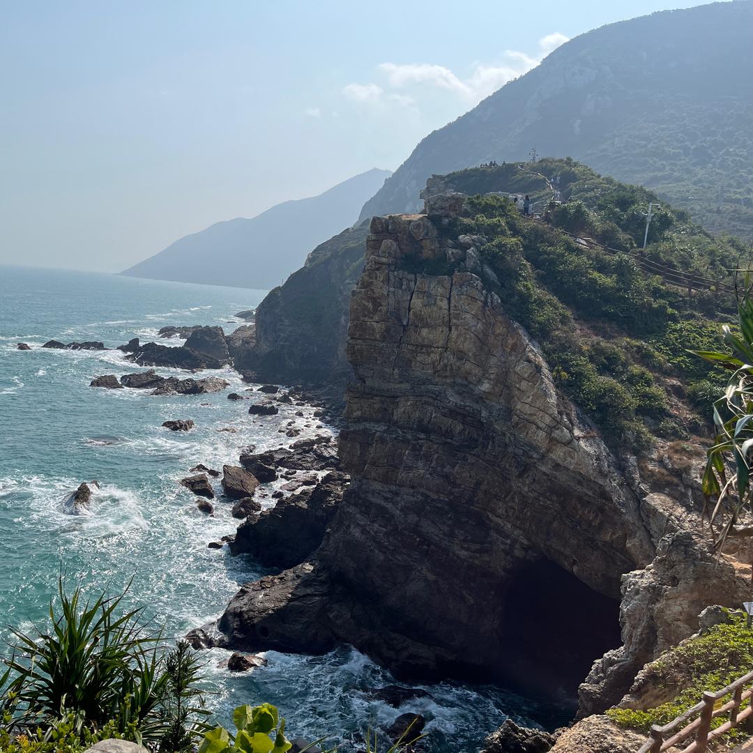 小徐的向日葵🌼