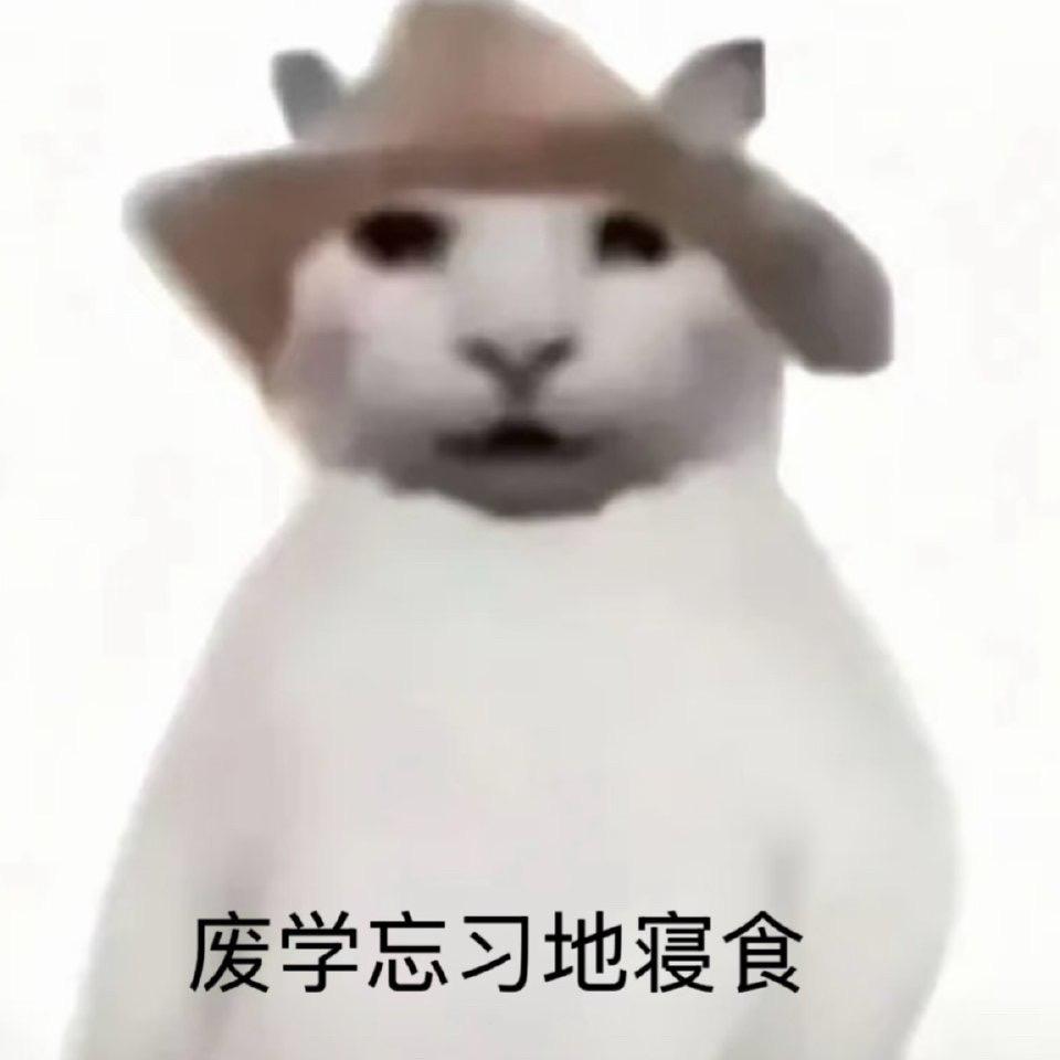 不知屿