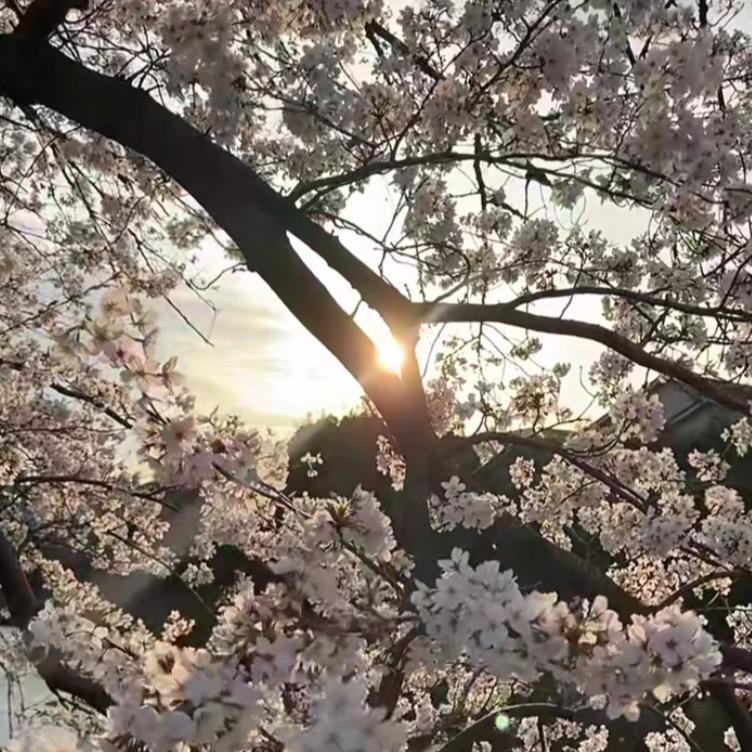 兴贸烟酒商行友富安翔客服号