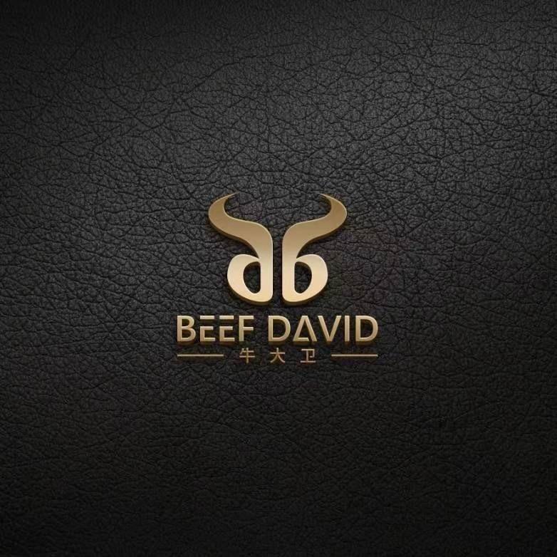 牛大卫精选牛排肉总仓卫卫