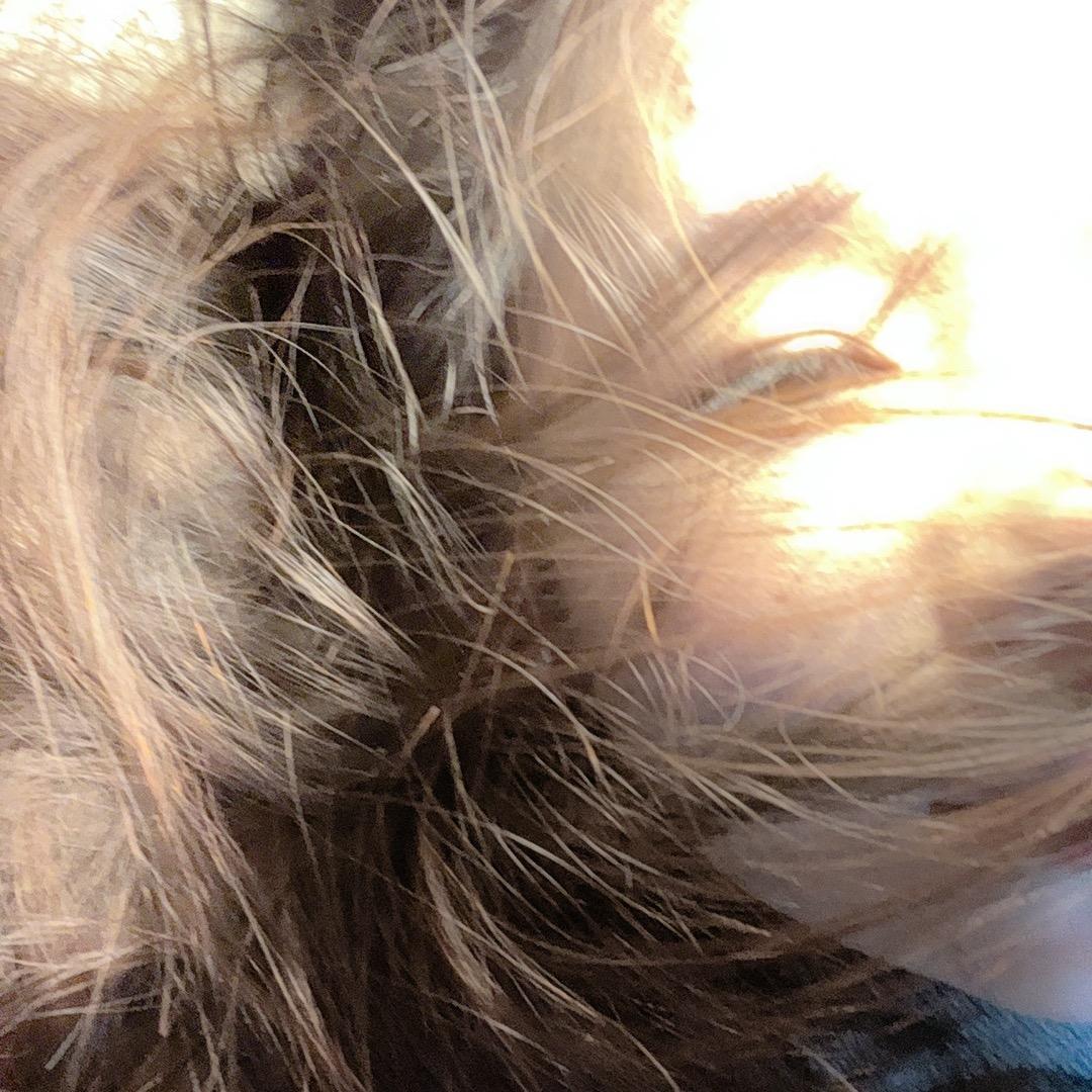 贵姣穿搭版本🍃