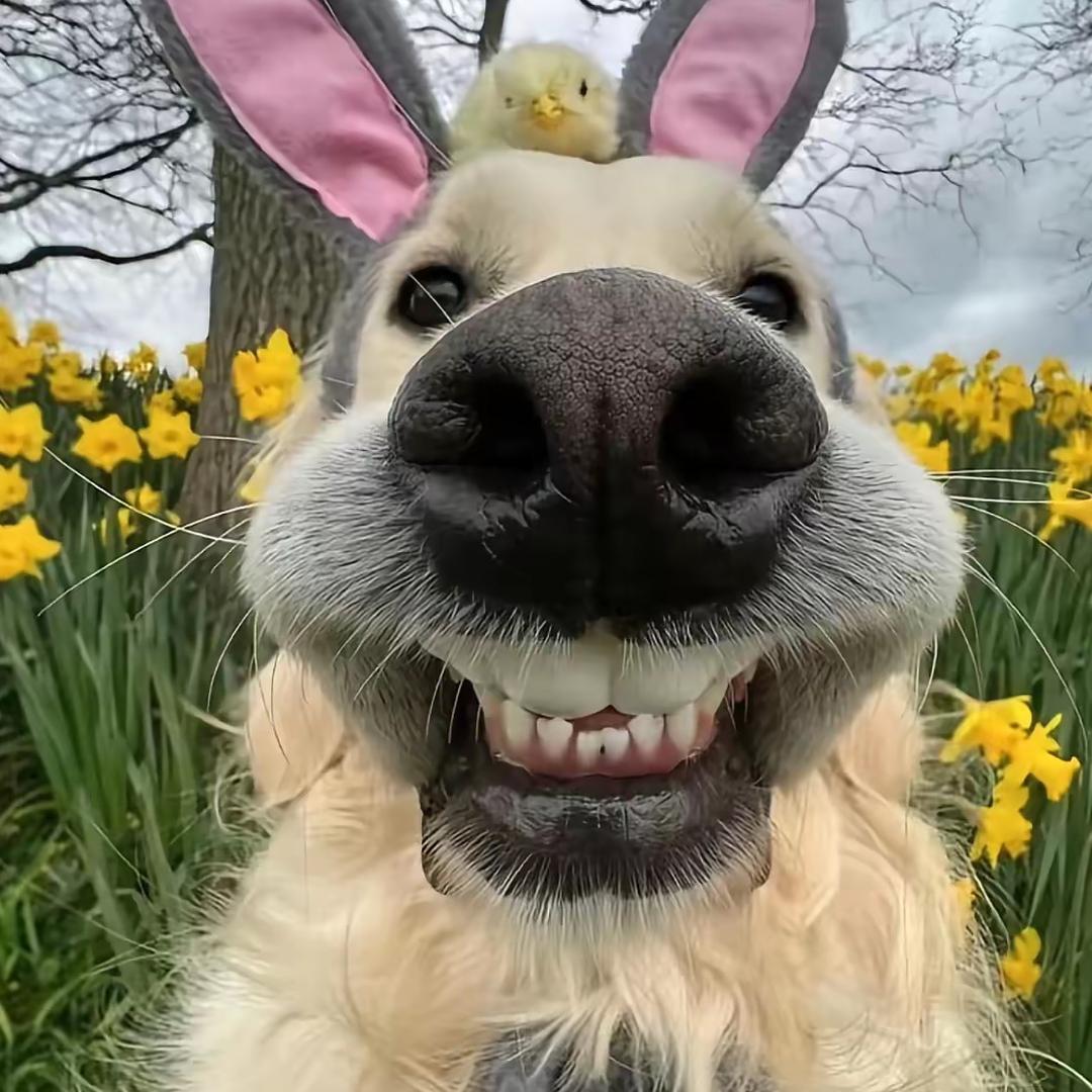 lllllllllllllllll