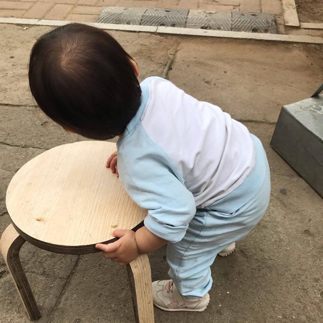 苏子叶