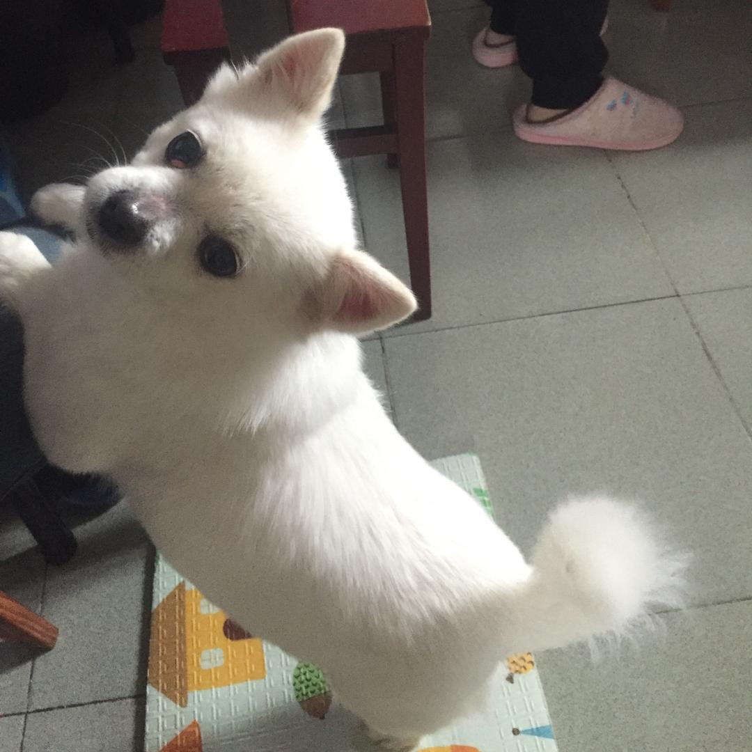 小宝。