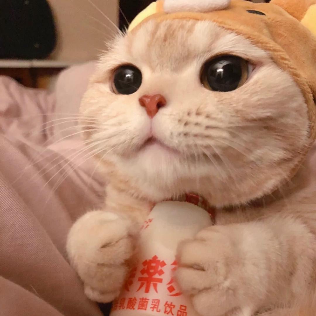 M.