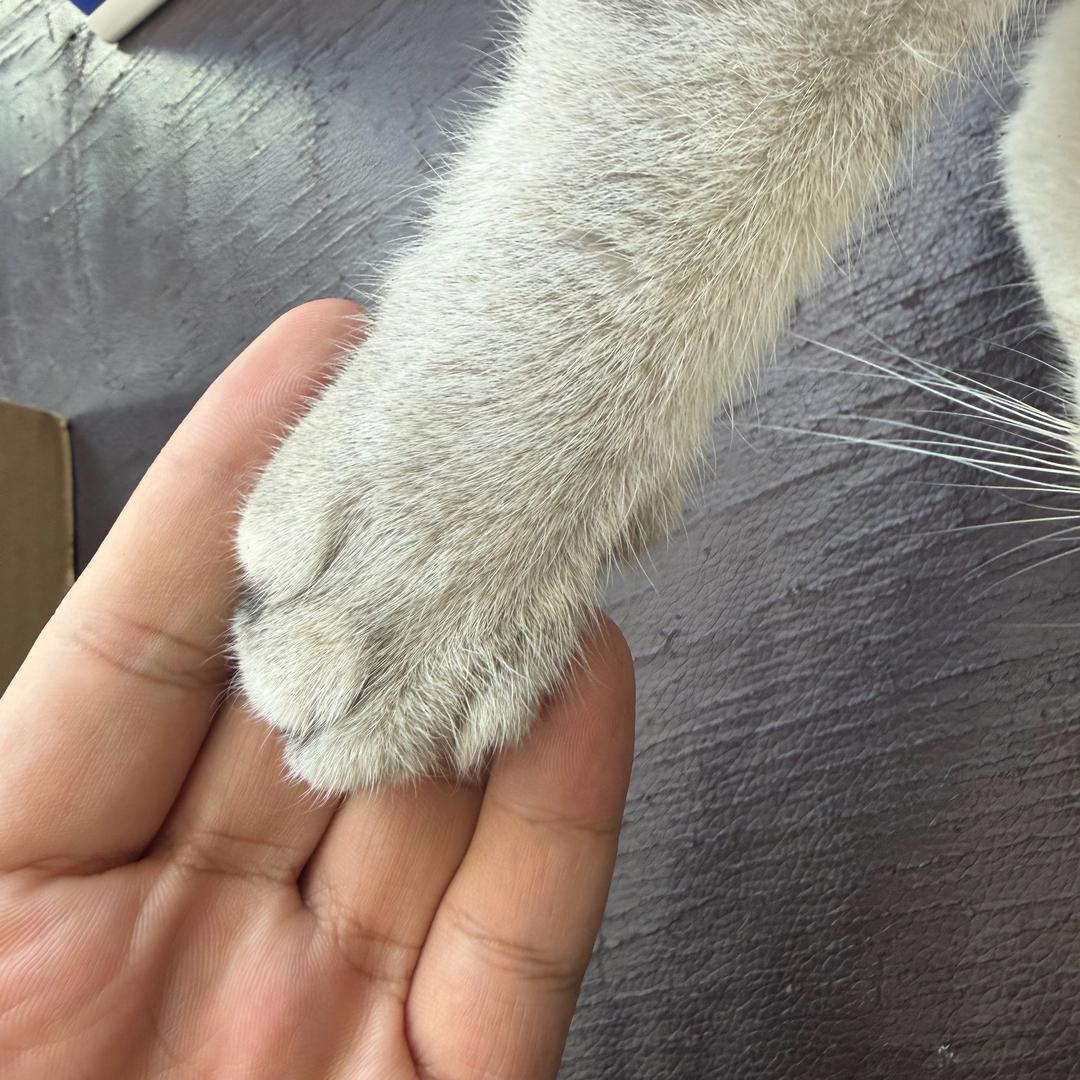 Mr.sun　　　　　　　🪳