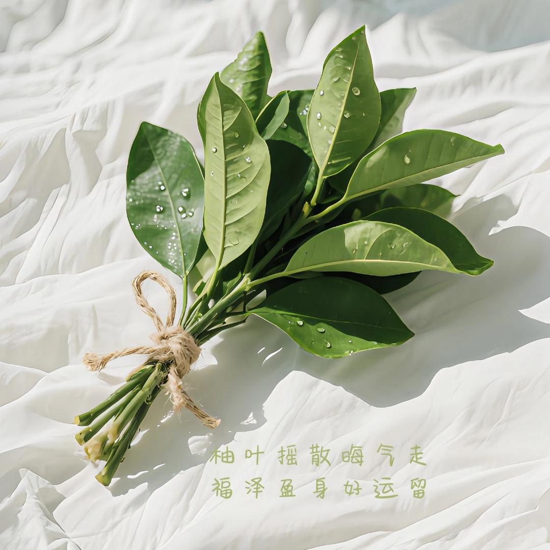玖玖呀