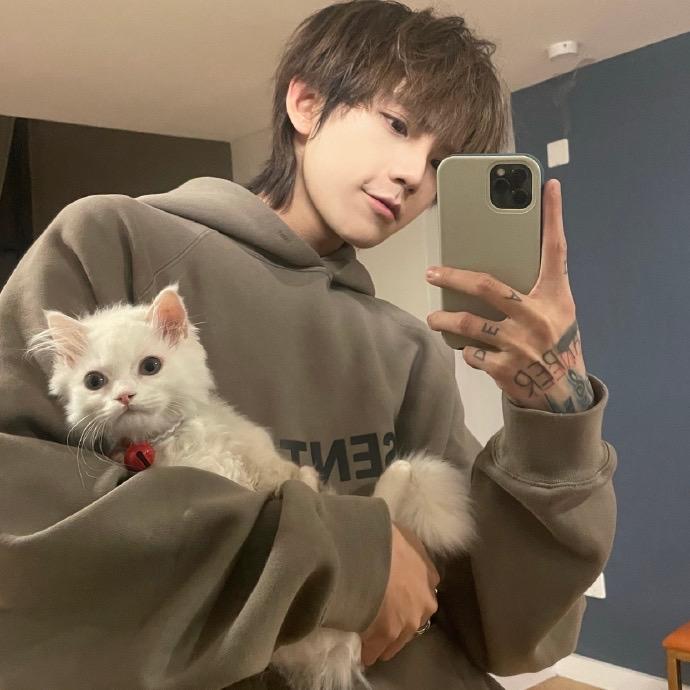 Aaa李哲