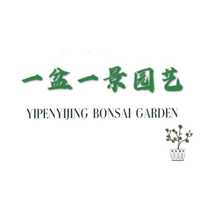 一盆一景园艺