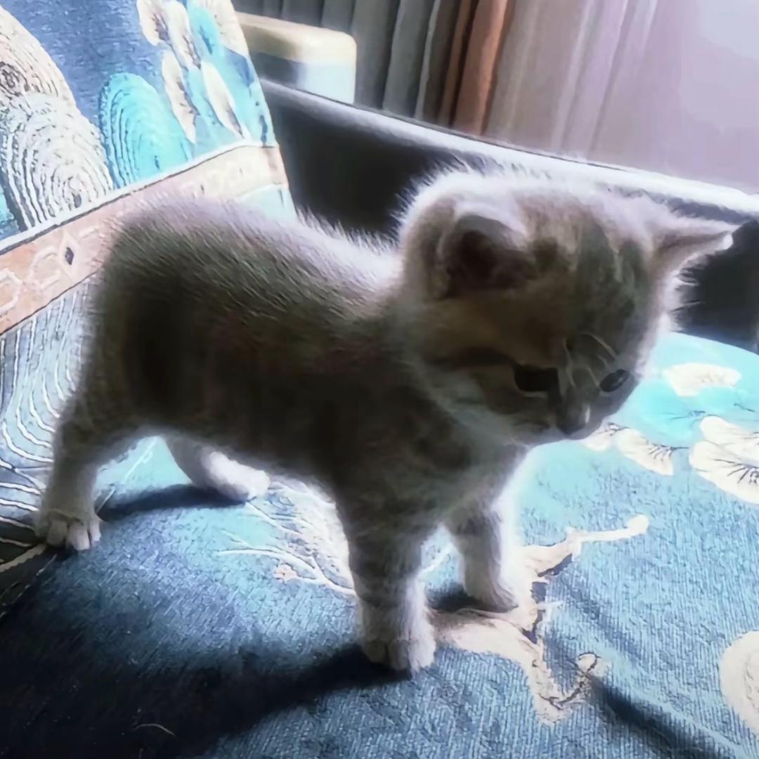 何以解忧（点单d）