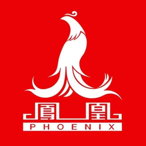 凤凰Phoenix裂变童车专卖店