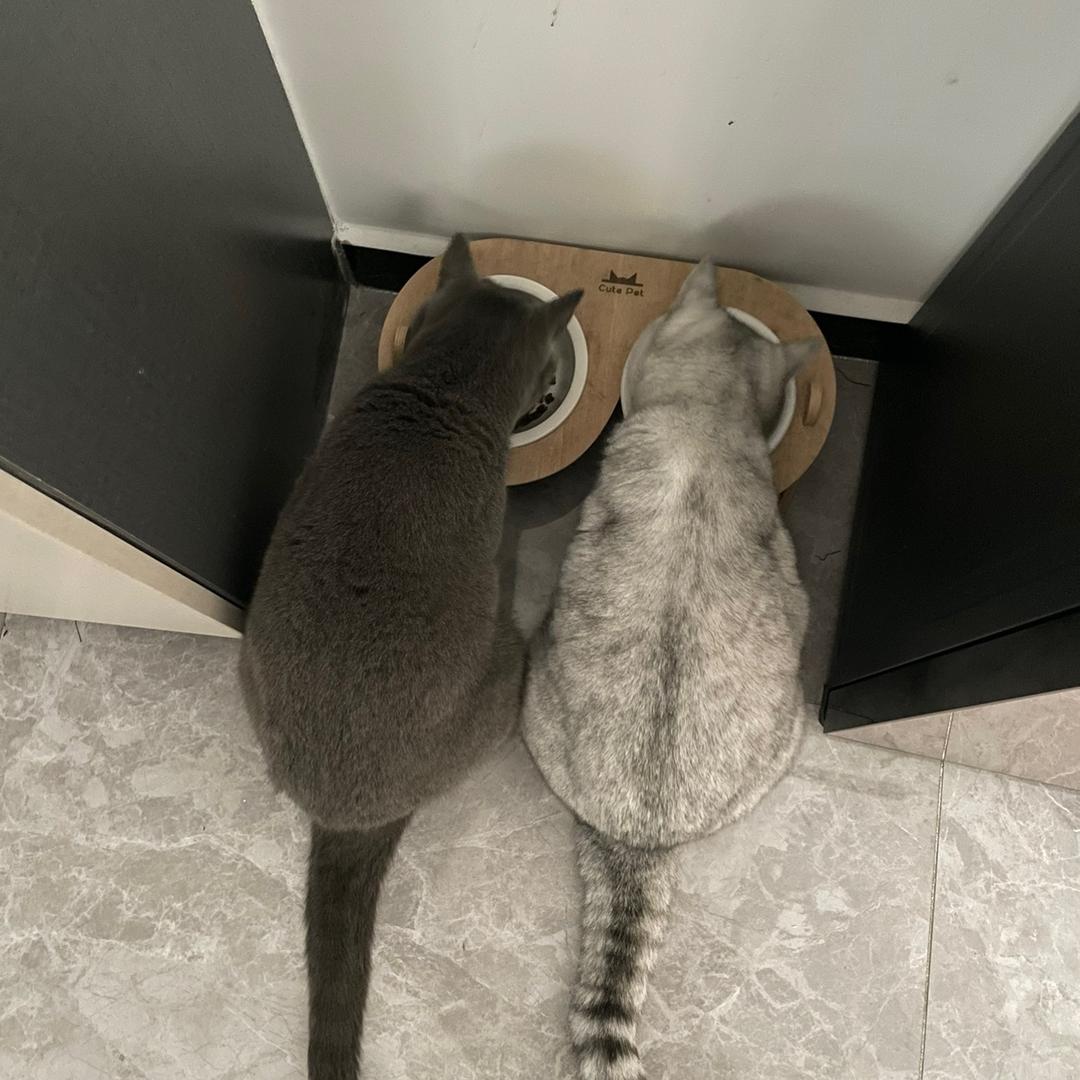 🔸不想吃晚饭¹