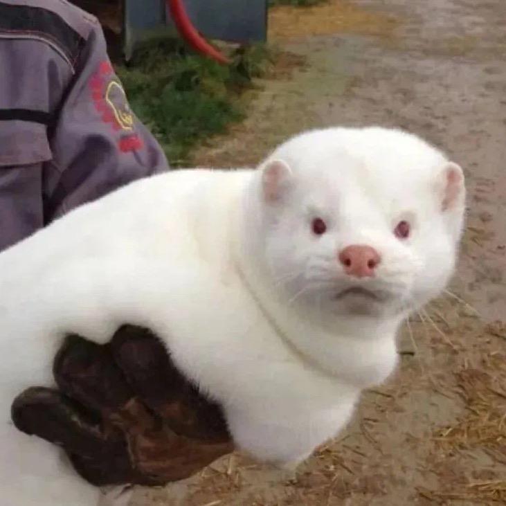 是时节节节节节啊