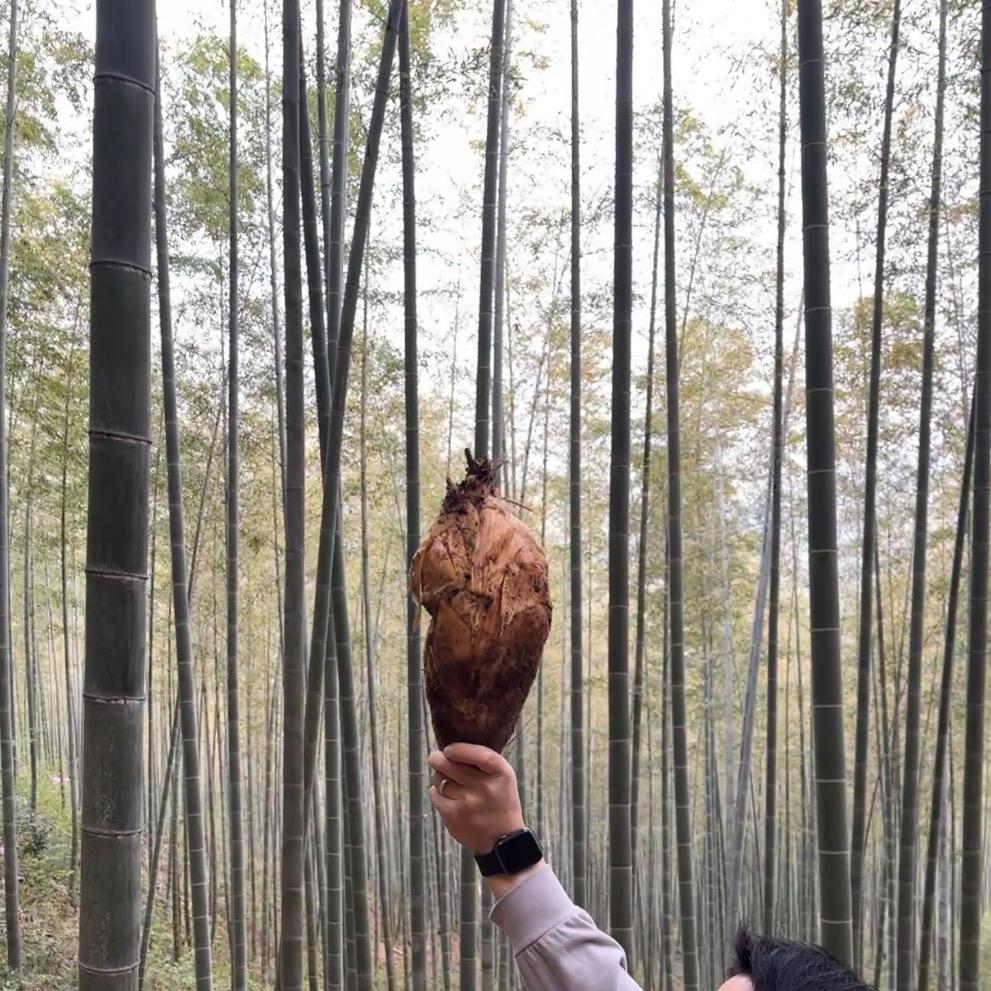 杨家山味