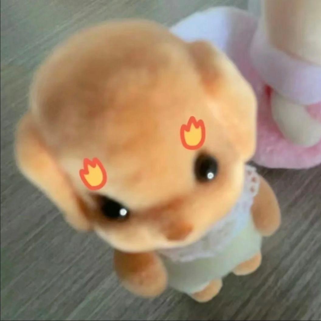 忧郁羊毛卷