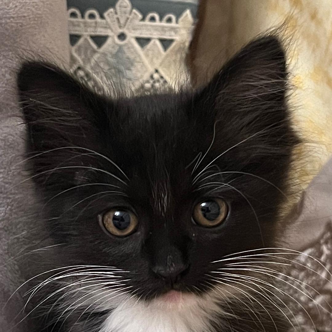 ^—^