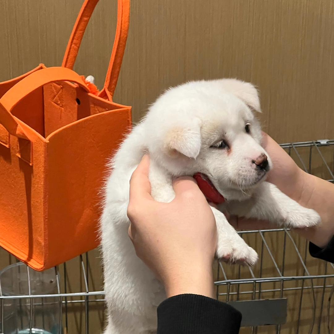 丘丘丘
