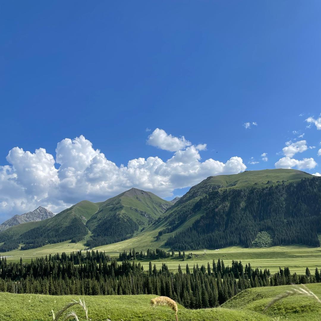 吴老师旅行记