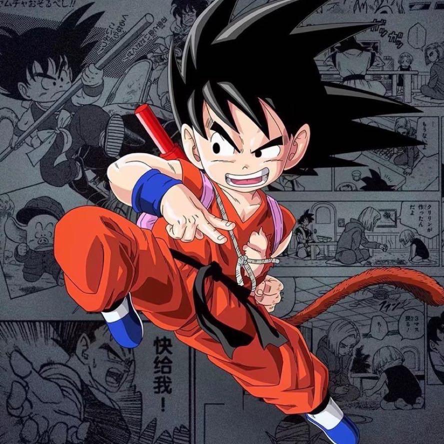 我村首席经济砖家