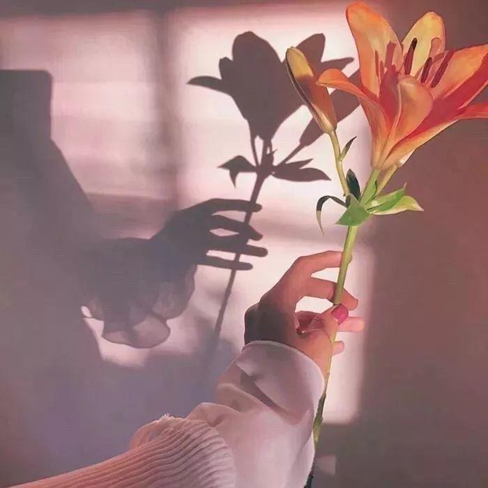 手机用户62605425331