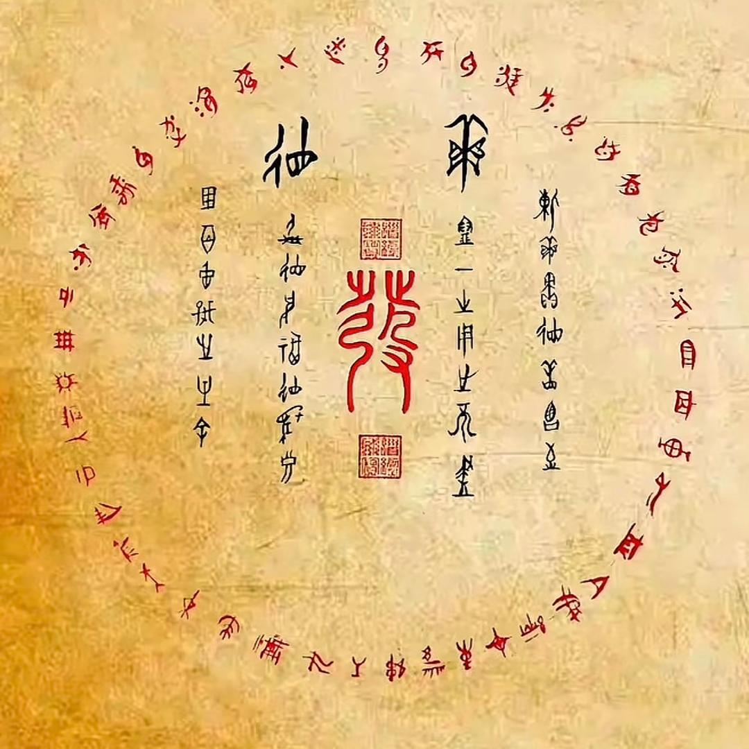 修泽