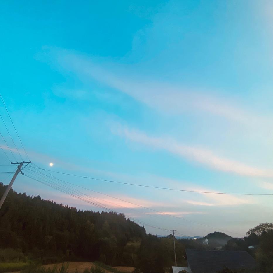 🐾小朋友的梅梅老师