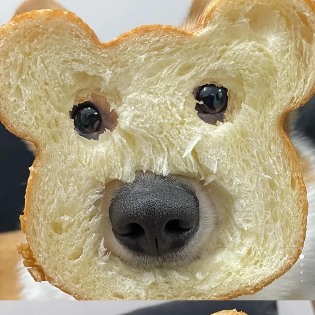 ㅤ︌︌︌︌︌︌︌︌   ㅤ困