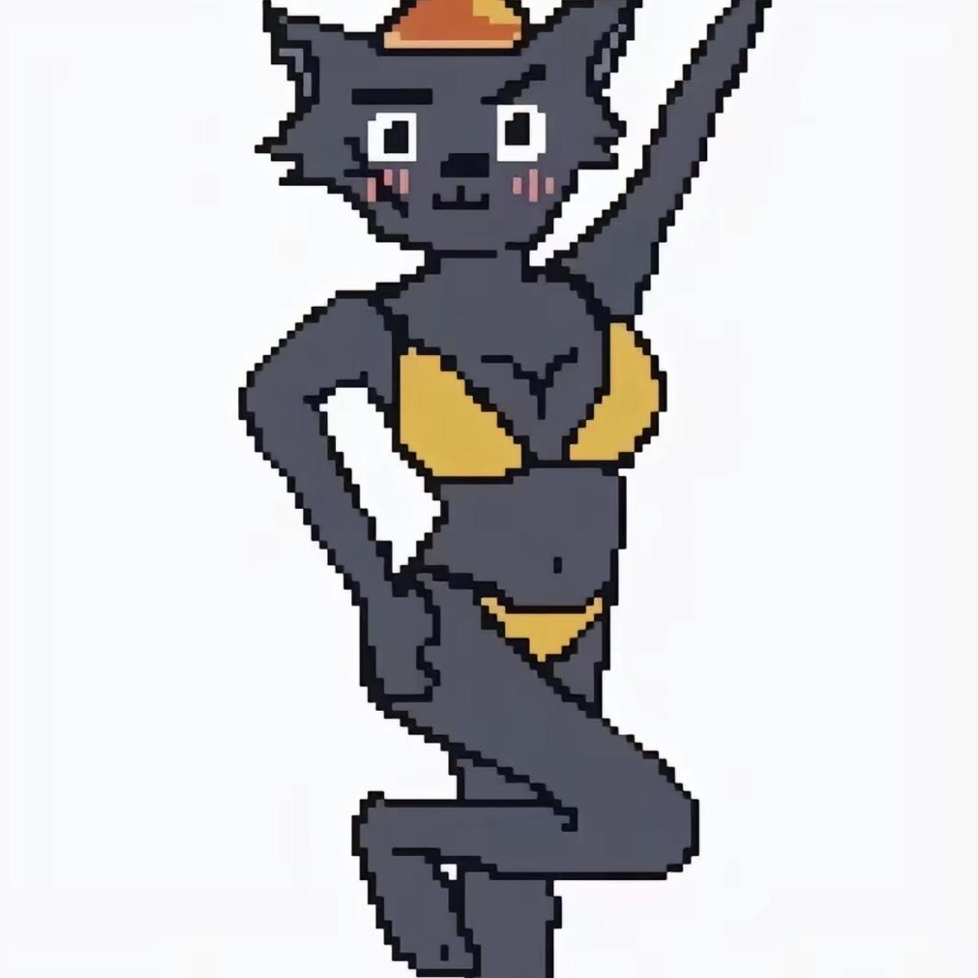 XXXXXXXXXXXX