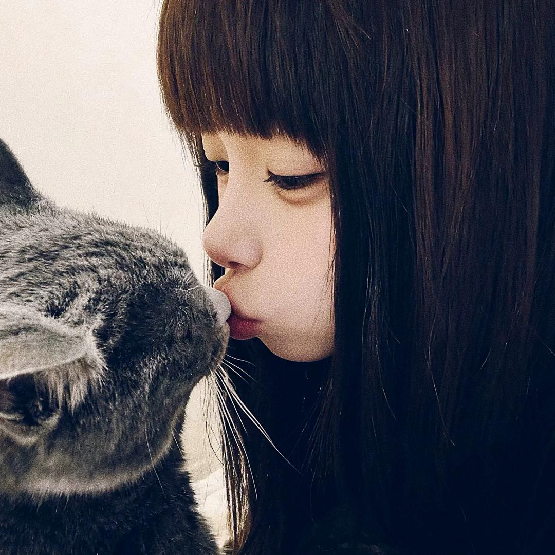 ㅤㅤ︋︋︋ㅤㅤ