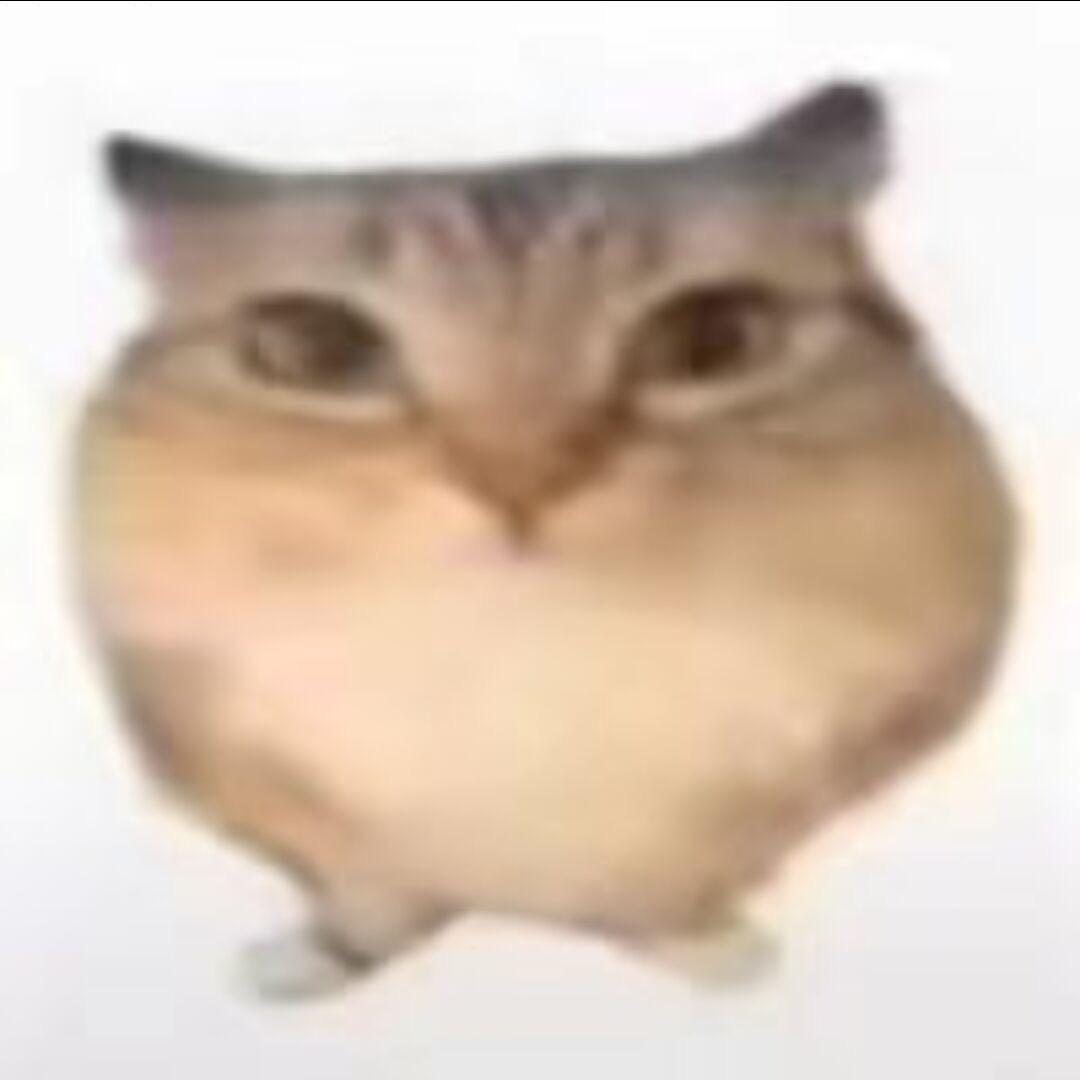 巴巴博一
