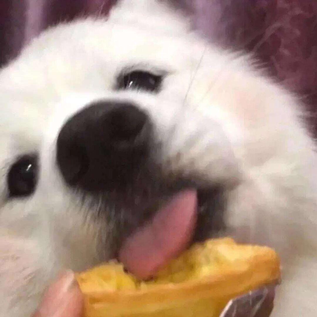 Lnbyiii