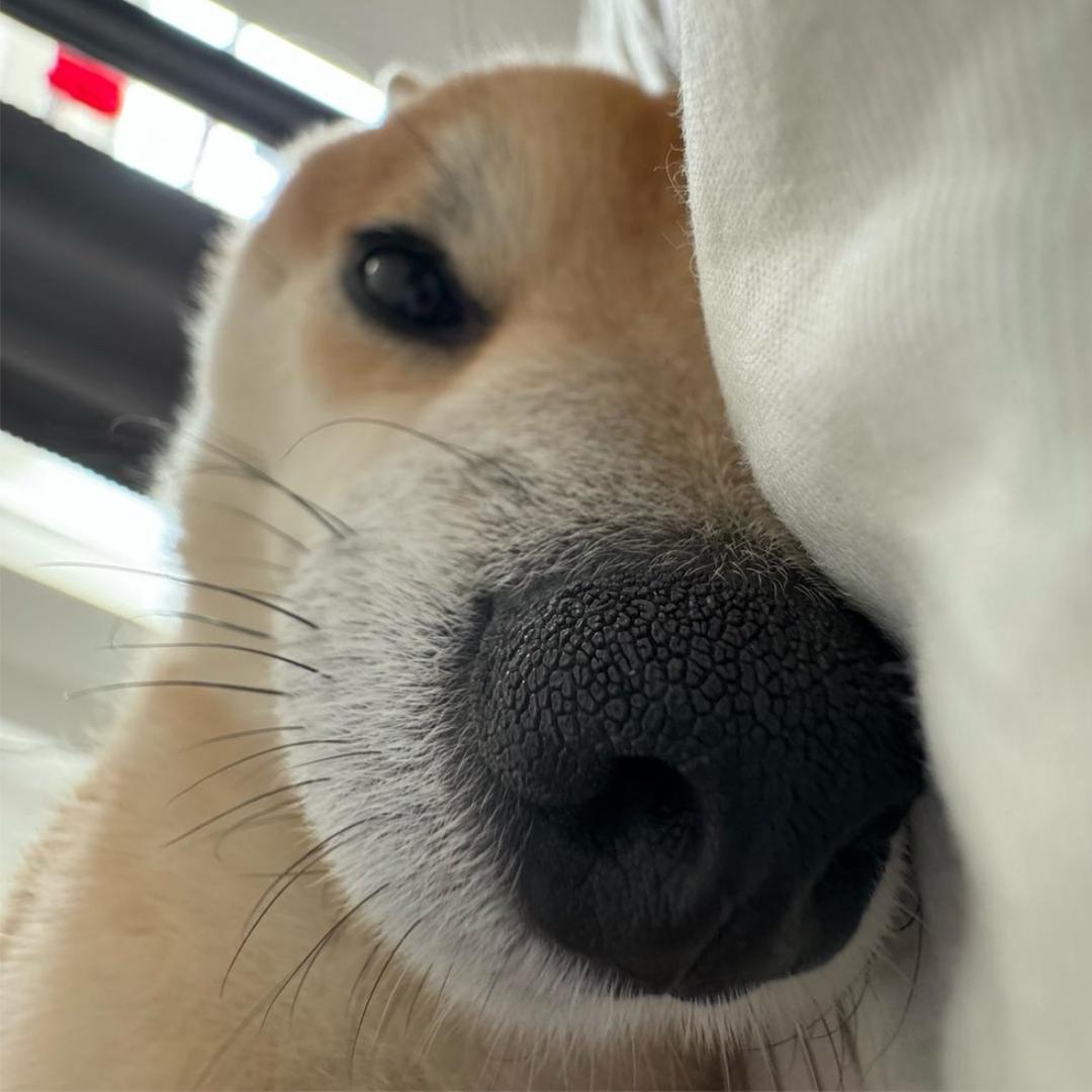 天下无双