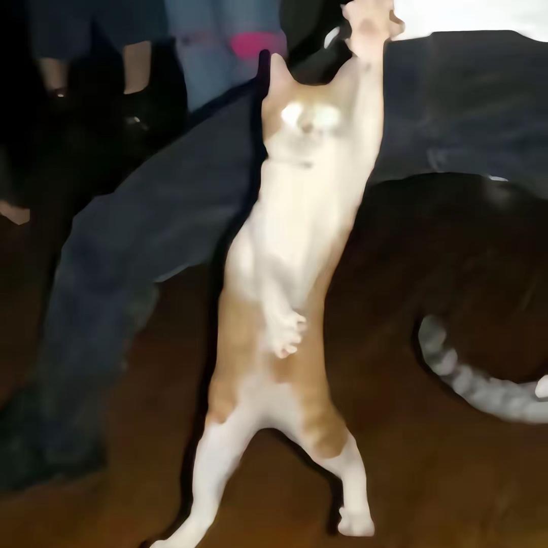 姆恩达