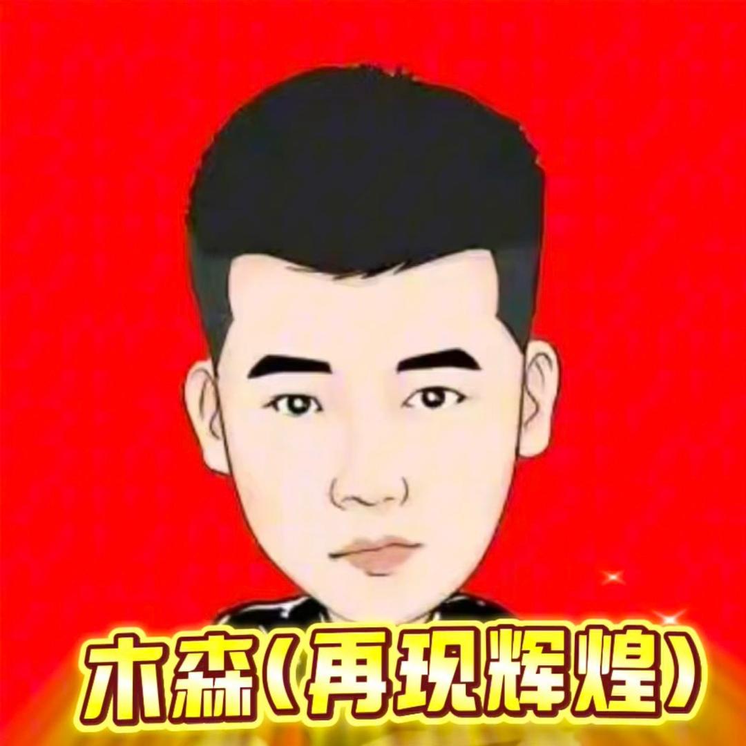 木森(再现辉煌)