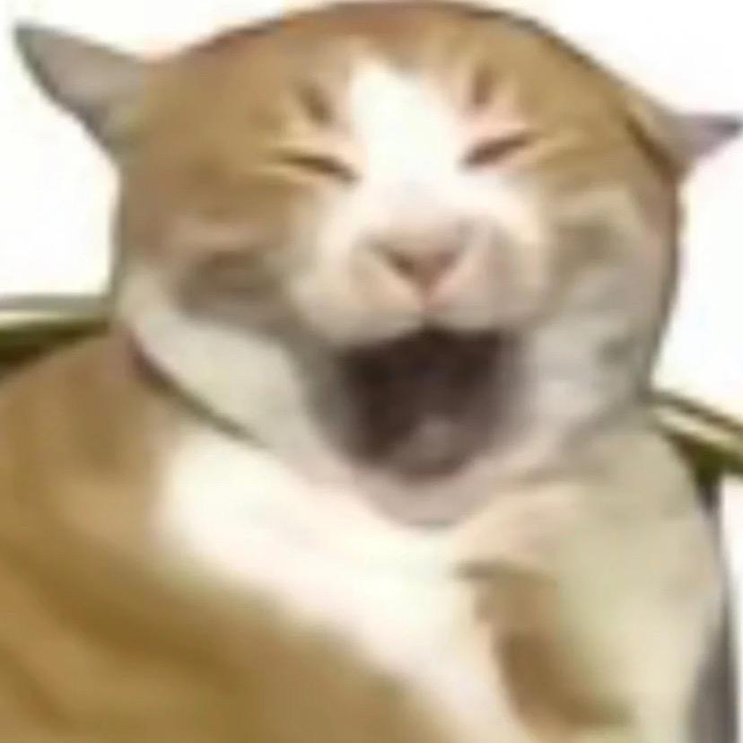 狗不理轩子