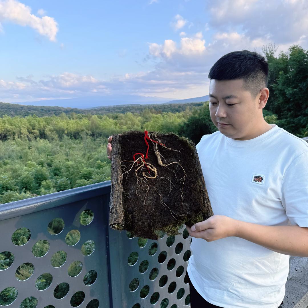 一个达不刘