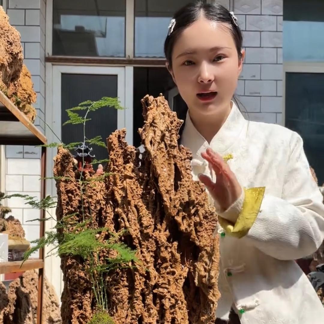 静静吸水石微景观