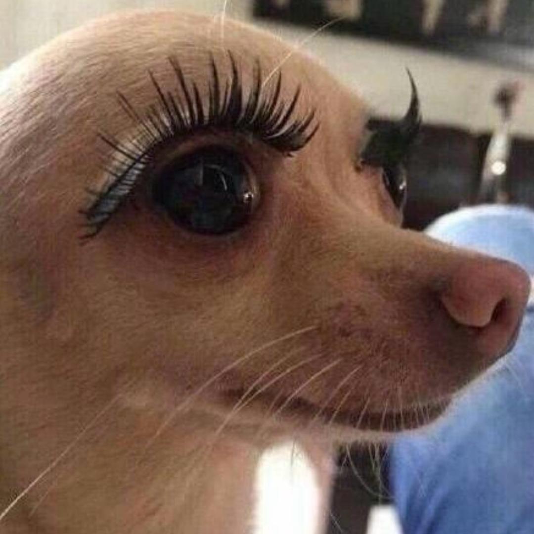 屎到淋头还搅便