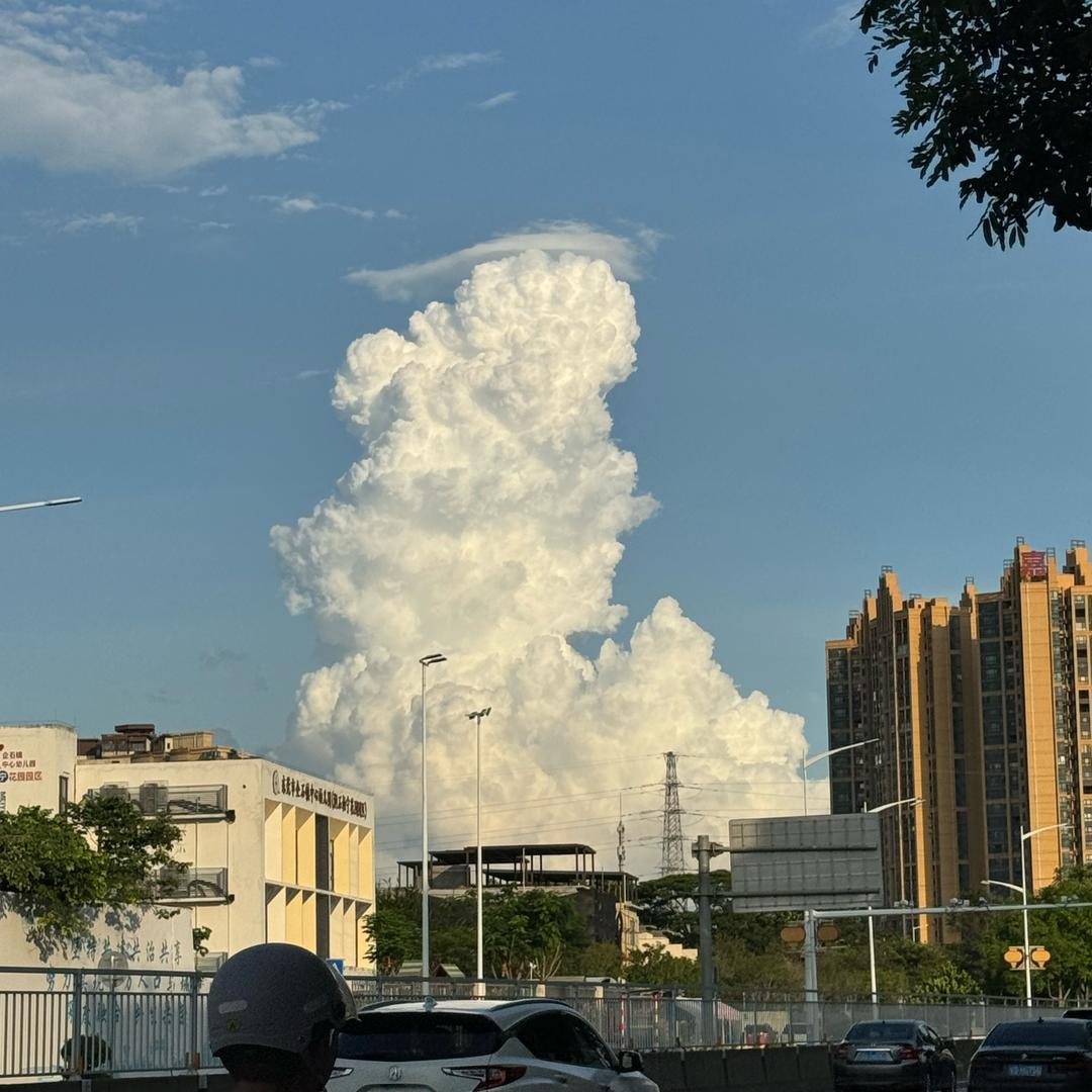 神奇宝贝训练师小张