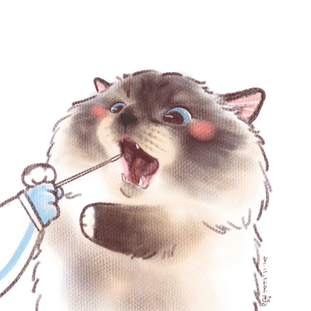 擒贼先擒༺࿈王࿈༻先生