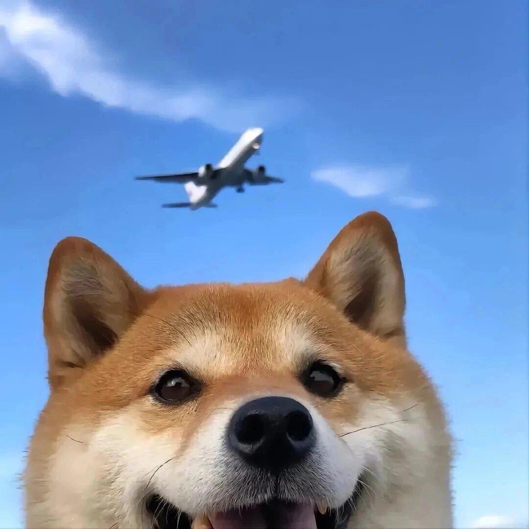 大雷