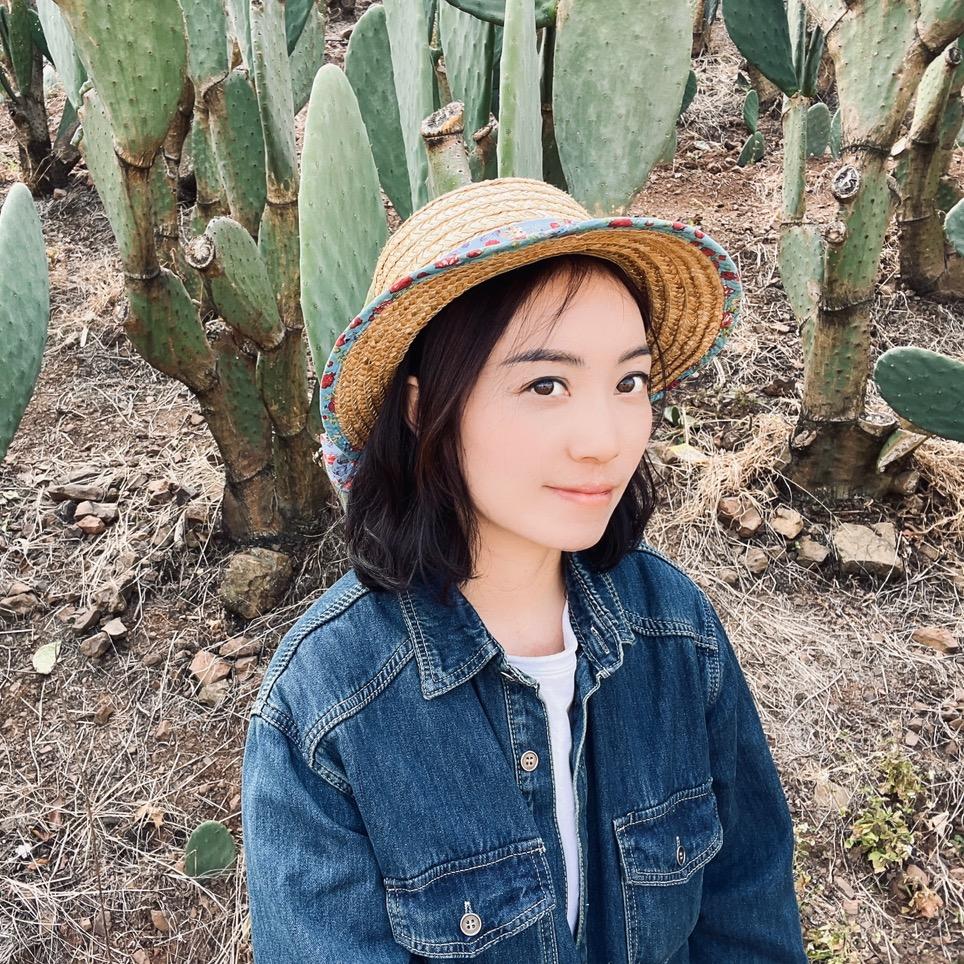 山与丘的仙人掌